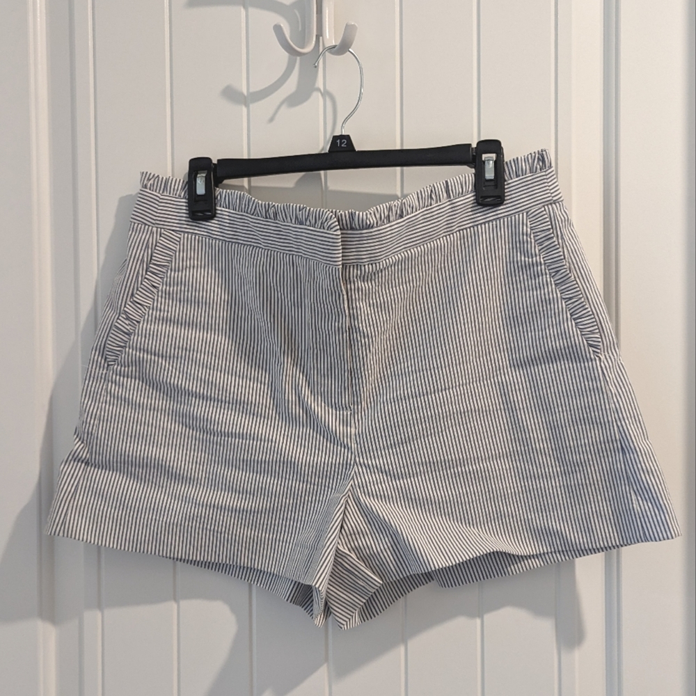 Blue White pinstripe shorts by J Crew